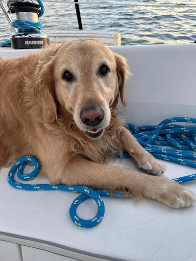 Lilo on the sailboat